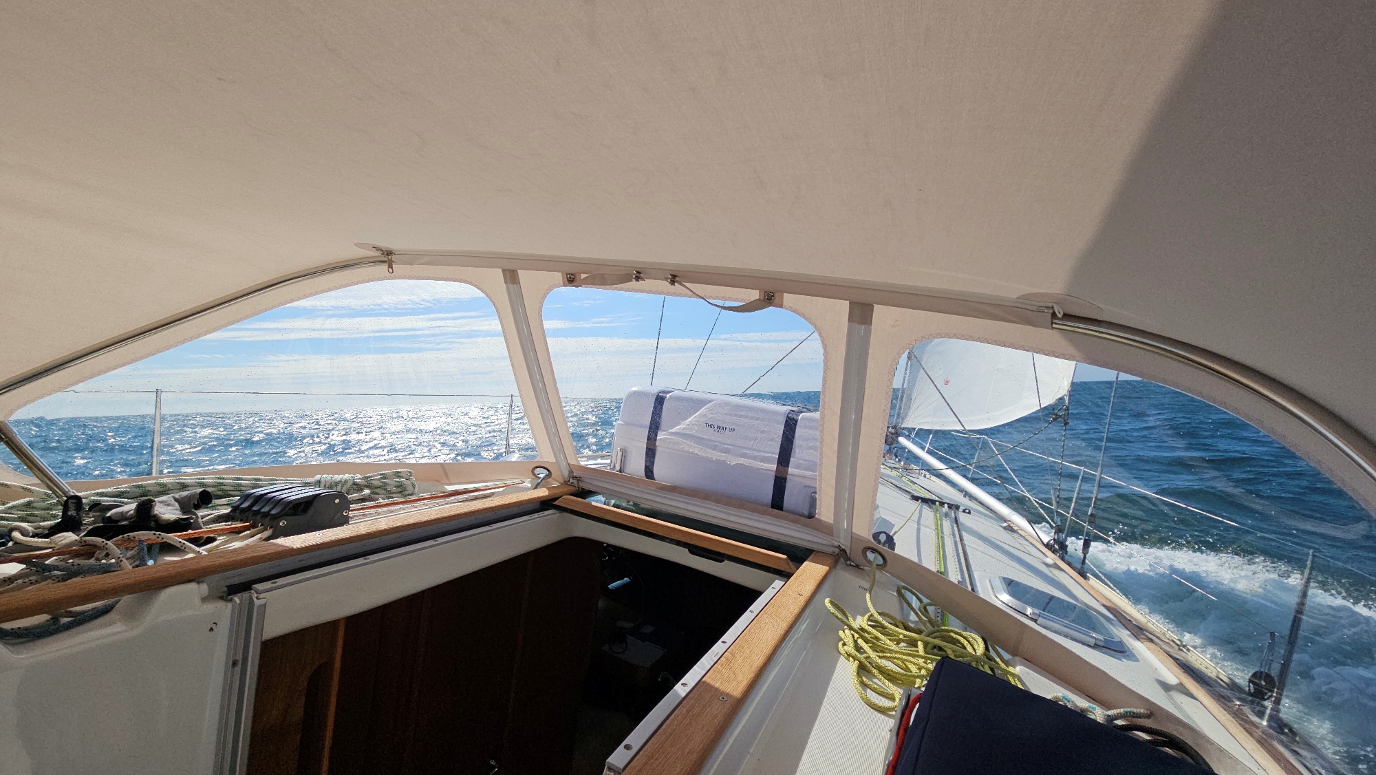 Kopie von 004_20240721_171051.jpg